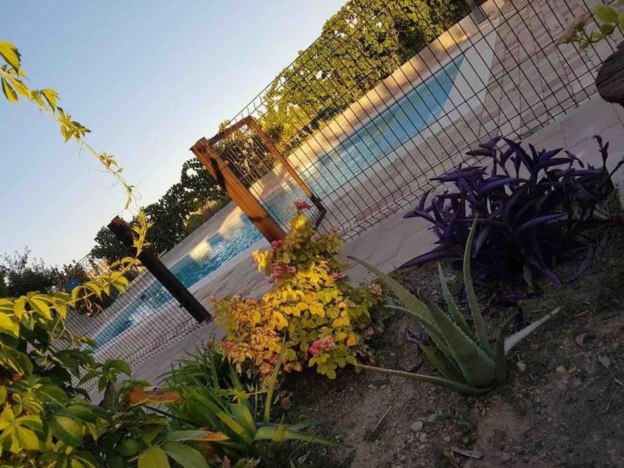 Casa Rural Alma Totanés Buitenkant foto